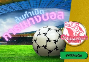 แทงบอลออนไลน์ cheetah191win ประวัติการแทงบอล