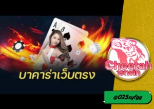 บาคาร่าเว็บตรง cheetah 191win เกมไพ่ยอดนิยม เล่นง่าย ได้เงินจริง