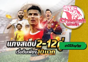 เว็บแทงบอลอันดับ 1 ของไทย cheetah191win ครบทุกลีกทั่วโลก