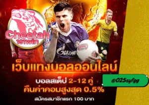 ราคาบอล cheetah191win คุ้มค่าแค่ไหน? เปรียบเทียบกับเว็บอื่นให้เห็นชัด ๆ