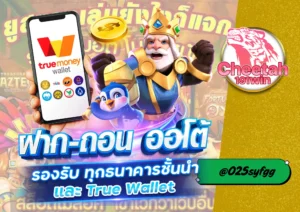 เว็บสล็อต PG เว็บตรง กับ cheetah191win แพลตฟอร์มสล็อตคุณภาพที่คุณวางใจได้ 🎰🔥