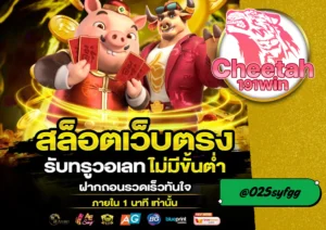 เว็บ สล็อต ตรง เล่นสล็อตปลอดภัยที่ดีที่สุดต้อง cheetah191win 