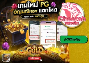 สล็อต แตก ง่าย เล่นง่าย ได้เงินจริง ที่ cheetah191win