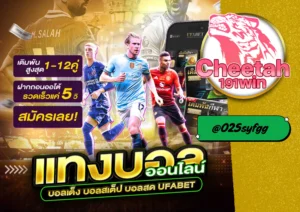 เว็บ แทงบอล ออนไลน์ ที่ดีที่สุด ต้องที่ cheetah191win