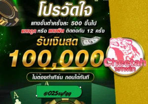 กาสิโน ออนไลน์ สุดยอดประสบการณ์เดิมพันที่ Cheetah191win