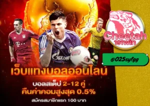 เว็บ แทง บอล ที่ดีที่สุดในไทย ต้องที่ cheetah191win