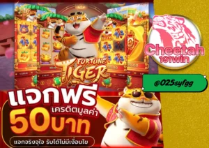 สล็อต ฝากถอน ไม่มีขั้นต่ำ เล่นง่าย ได้เงินจริง ต้องที่ cheetah191win