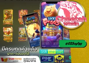 เทคนิค หมุน สล็อต ให้ได้กำไรจริง สมัครเล่นที่ cheetah191win