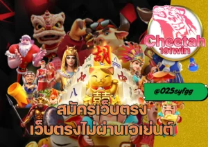 สล็อต เว็บ ตรง เล่นง่าย ปลอดภัย ต้องที่ cheetah191win