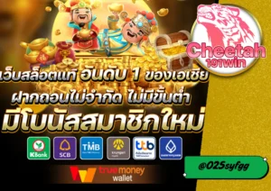 สล็อต ออนไลน์ เล่นง่าย ได้เงินจริงกับ cheetah191win เว็บที่นักเดิมพันไว้ใจ