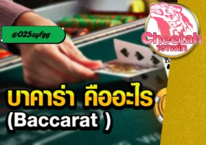 บาการา เกมไพ่ทำเงินยอดนิยม เล่นง่าย ได้เงินจริง ต้องที่ cheetah191win