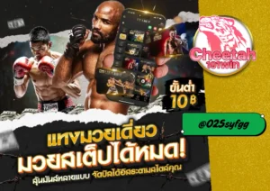 แทงมวย ออนไลน์กับ cheetah191win เว็บแทงมวยที่ดีที่สุดในปี 2025