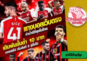 เว็บแทงบอล ราคาดีที่สุด cheetah191win  เล่นง่าย จ่ายจริง ครบทุกคู่ ครบทุกลีก!
