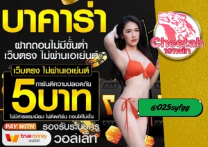 ปุนโต บังโก เกมไพ่สุดมัน เล่นง่าย ได้เงินจริง ที่ cheetah191win