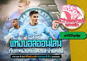 บอลสเต็ป กำไรดี ต้องที่ cheetah191win เว็บเดียวครบทุกคู่ จ่ายจริง ไม่มีโกง!