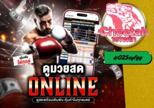 เว็บแทงมวย ต้องที่ cheetah191win เท่านั้น! เดิมพันง่าย จ่ายจริง พร้อมโปรโมชั่นสุดพิเศษ