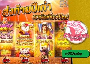 สล็อตออนไลน์ เล่นง่าย แตกไว กับ cheetah191win เว็บเดียวครบทุกค่าย