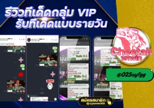 กลุ่มนำบาคาร่า ช่วยเพิ่มโอกาสชนะ ที่ cheetah191win เว็บตรงน่าเชื่อถือ