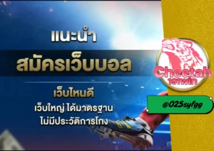 ทีเด็ดบอล พารวย! วิเคราะห์แม่นจากเซียนตัวจริง สมัครฟรีที่ cheetah191win