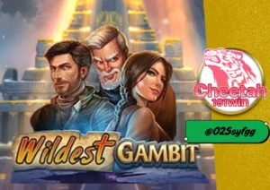 play n go สุดยอดสล็อตจากค่าย เล่นง่าย แตกไว ที่ cheetah191win