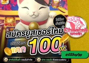 สล็อตออโต้ ฝากถอนเร็ว ต้องที่ cheetah191win เว็บสล็อตที่ตอบโจทย์ทุกความต้องการ