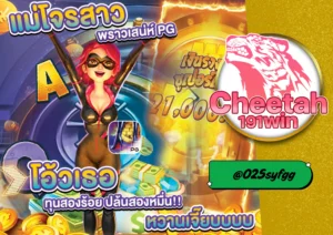 แนะนำ เว็บสล็อต แตกดี ที่สุดในปีนี้ ต้องลอง cheetah191win
