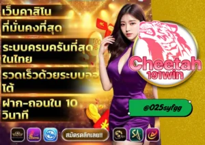 เล่น บาคาร่า ต้องที่ cheetah191win เว็บตรงที่ดีที่สุดในไทย