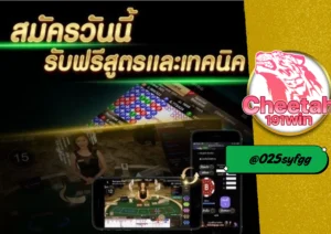 สูตร บาคาร่า ที่ใช้ได้จริง พร้อมรีวิวเว็บตรง cheetah191win