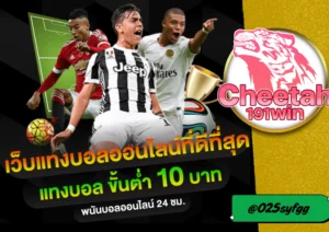 สมัคร เว็บพนันบอล กับ cheetah191win เว็บตรงไม่ผ่านเอเย่นต์ บริการครบ จบในที่เดียว