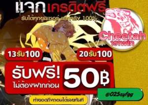 สล็อตแจก โบนัสฟรี ต้องที่ cheetah191win เล่นง่าย ได้เงินจริง!