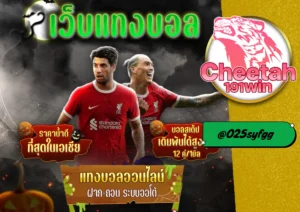 แทงบอลสเต็ป โอกาสรวยหลายเท่า ต้องที่ cheetah191win เท่านั้น!