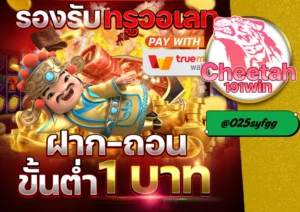 สล็อต ฝาก ถอน true wallet เล่นง่าย สะดวก แตกไว ได้เงินจริง cheetah191win 