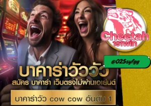 บาคาร่าวัววัว เกมไพ่สายมันส์ เล่นง่าย ได้เงินจริง ที่ cheetah191win