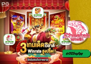 สล็อตนอกแท้ เล่นง่าย จ่ายจริง ที่ cheetah191win