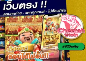 เว็บตรง ไม่ผ่านเอเย่นต์ เล่นง่าย จ่ายจริง ปลอดภัย 100% cheetah191win 