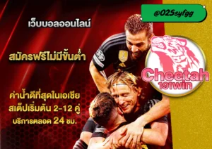เว็บพนัน บอล ที่ตอบโจทย์คอบอลตัวจริง cheetah191win 
