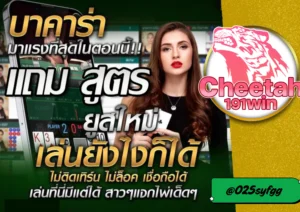 เทคนิค บาคาร่า พิชิตกำไร เล่นยังไงให้ชนะทุกไม้กับ cheetah191win