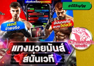 เว็บพนันมวย ครบทุกคู่ ชกมันส์ เดิมพันจุใจ! cheetah191win 