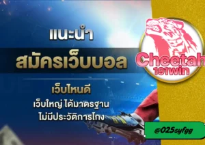 เทคนิค แทงบอล ให้ได้เงิน พร้อมแนะนำเว็บเชื่อถือได้อย่าง cheetah191win