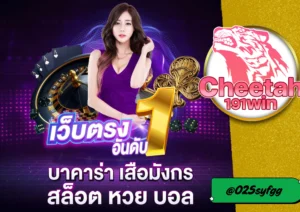 บาคาร่าทุน 100 ก็รวยได้ เริ่มต้นง่าย ๆ ที่ cheetah191win