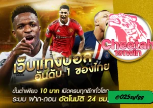 พนันบอล ราคาน้ำดี ต้องที่ cheetah191win เว็บเดียวจบ ครบทุกการเดิมพัน