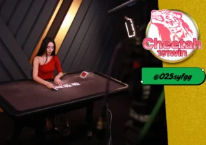 Medialive Casino คาสิโนสดสุดล้ำที่ cheetah191win