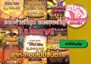 เว็บ สล็อต ออนไลน์ ที่คุณไม่ควรพลาด! แตกง่าย จ่ายจริงทุกวัน cheetah191win