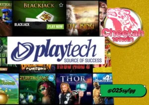สล็อตค่าย Playtech กับเว็บตรงคุณภาพ cheetah191win ที่คุณไม่ควรพลาด