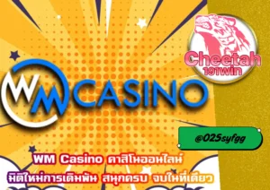 WM Casino คาสิโนสดยอดนิยมที่ต้องลอง พร้อมรีวิว cheetah191win