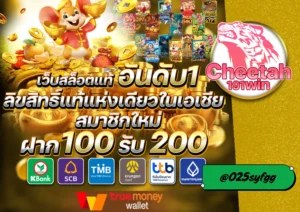 เว็บนอกลิขสิทธิ์แท้ ที่คุณต้องลอง รีวิวเว็บ cheetah191win