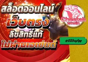 เว็บตรงจากต่างประเทศ รีวิว cheetah191win แหล่งเดิมพันที่ดีที่สุดในไทย