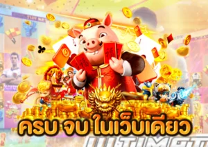 ทางเข้าpg